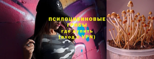 apvp Гусь-Хрустальный