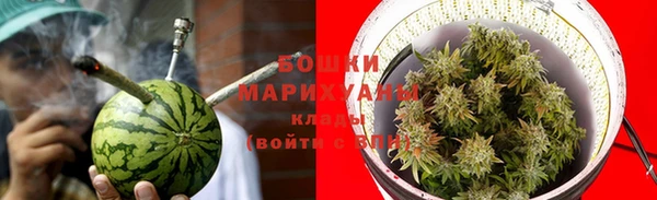 apvp Гусь-Хрустальный