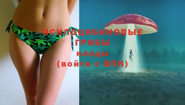 apvp Гусь-Хрустальный
