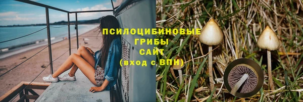 ешки Гусиноозёрск