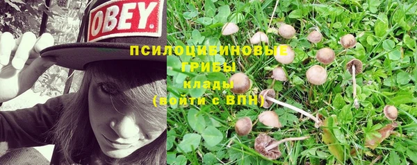 a pvp Гусев